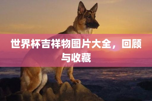 世界杯吉祥物图片大全，回顾与收藏