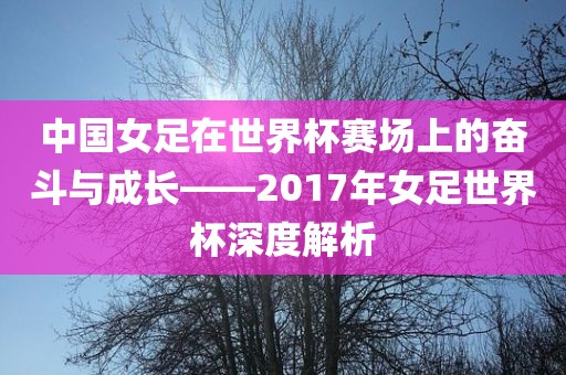 中国女足在世界杯赛场上的奋斗与成长——2017年女足世界杯深度解析