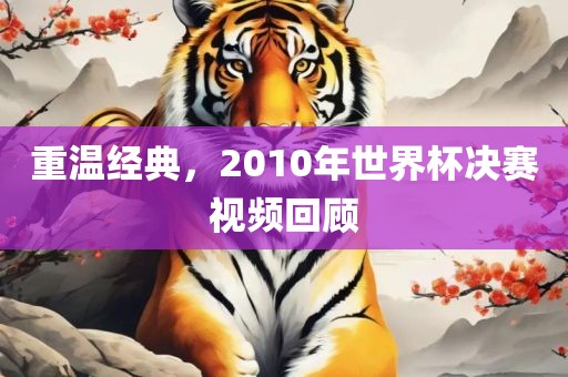 重温经典，2010年世界杯决赛视频回顾