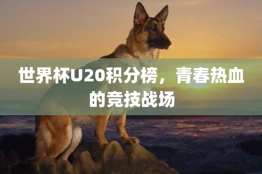 世界杯U20积分榜，青春热血的竞技战场