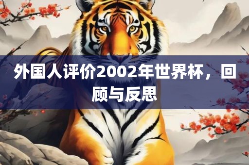 外国人评价2002年世界杯，回顾与反思