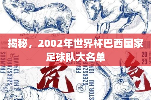 揭秘，2002年世界杯巴西国家足球队大名单吉安市靖泰电力工程有限公司