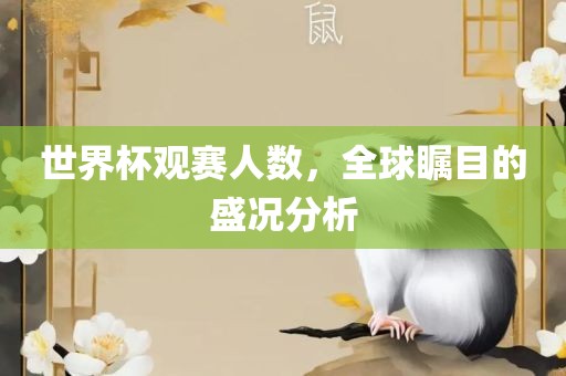 世界杯观赛人数，全球瞩目的盛况分析