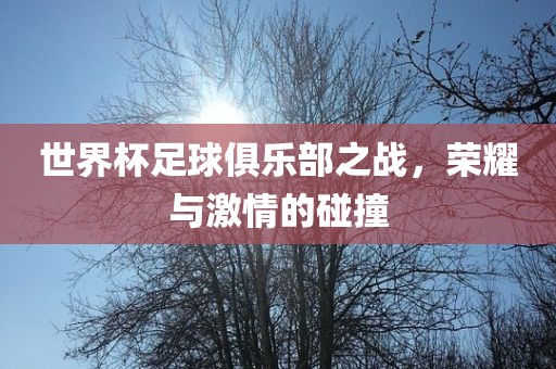 世界杯足球俱乐部之战，荣耀与激情的碰撞