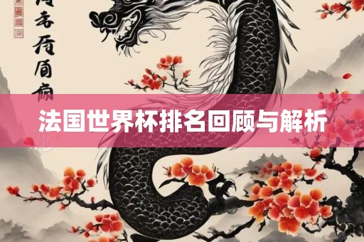 法国世界杯排名回顾与解析