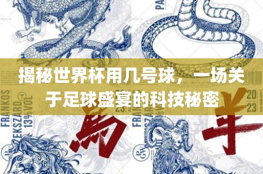 揭秘世界杯用几号球，一场关于足球盛宴的科技秘密