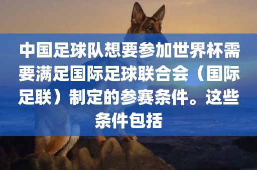 中国足球队想要参加世界杯需要满足国际足球联合会（国际足联）制定的参赛条件。这些条件包括