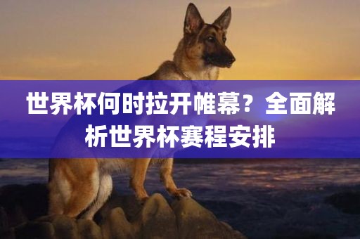 世界杯何时拉开帷幕？全面解析世界杯赛程安排