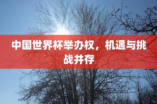 中国世界杯举办权，机遇与挑战并存