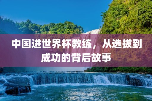 中国进世界杯教练，从选拔到成功的背后故事