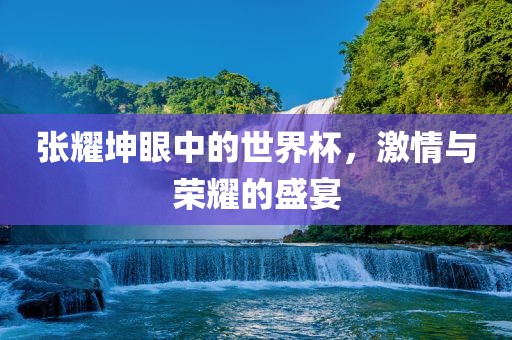 张耀坤眼中的世界杯，激情与荣耀的盛宴
