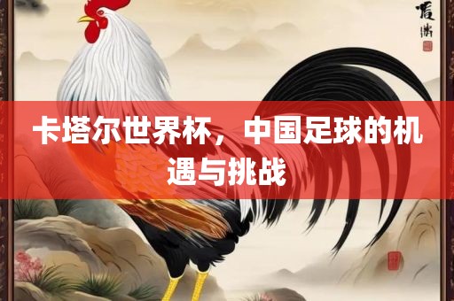 卡塔尔世界杯，中国足球的机遇与挑战
