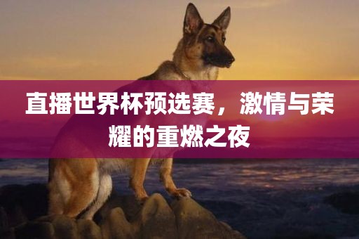 直播世界杯预选赛，激情与荣耀的重燃之夜