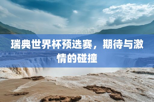 瑞典世界杯预选赛，期待与激情的碰撞