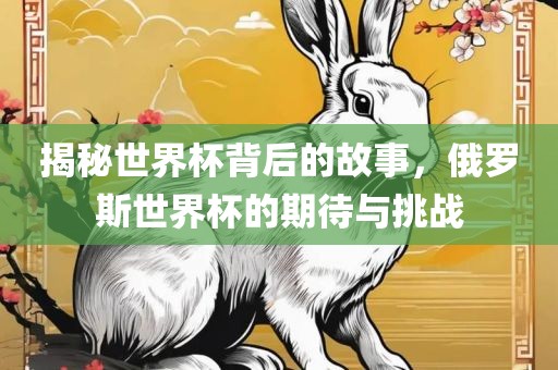 揭秘世界杯背后的故事，俄罗斯世界杯的期待与挑战