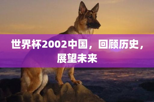 世界杯2002中国，回顾历史，展望未来