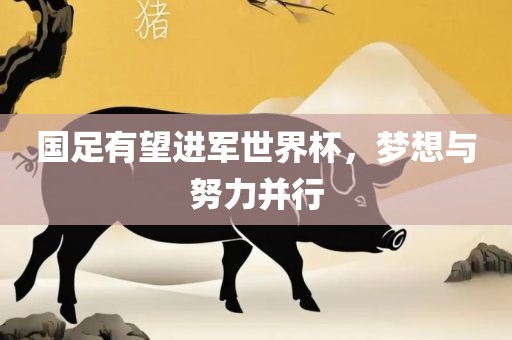 国足有望进军世界杯，梦想与努力并行