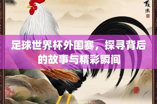足球世界杯外围赛，探寻背后的故事与精彩瞬间