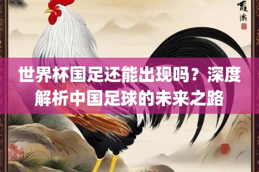 世界杯国足还能出现吗？深度解析中国足球的未来之路