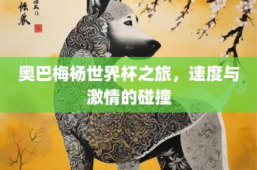 奥巴梅杨世界杯之旅，速度与激情的碰撞