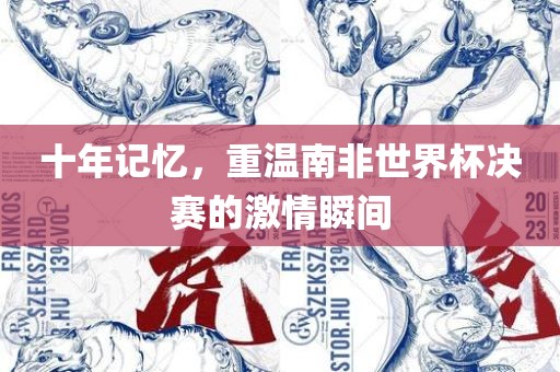 十年记忆，重温南非世界杯决赛的激情瞬间