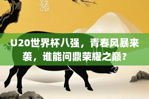 U20世界杯八强，青春风暴来袭，谁能问鼎荣耀之巅？