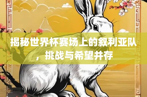 揭秘世界杯赛场上的叙利亚队，挑战与希望并存
