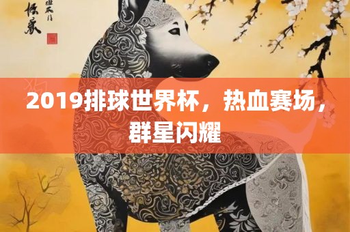 2019排球世界杯，热血赛场，群星闪耀