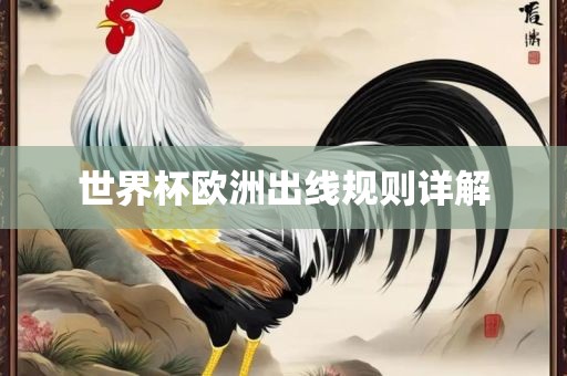 世界杯欧洲出线规则详解