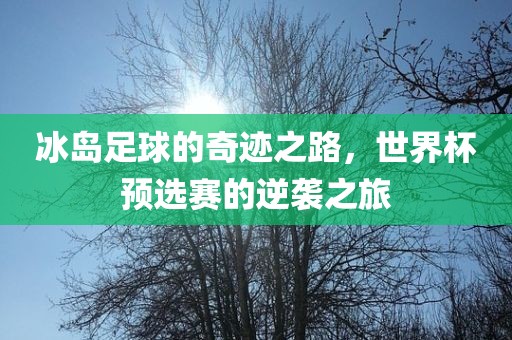 冰岛足球的奇迹之路，世界杯预选赛的逆袭之旅