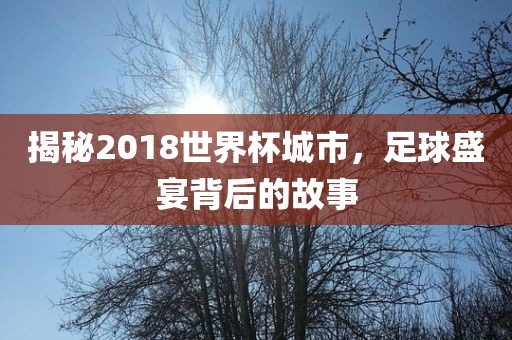 揭秘2018世界杯城市，足球盛宴背后的故事