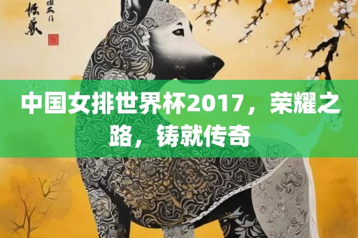 中国女排世界杯2017，荣耀之路，铸就传奇