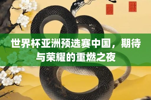世界杯亚洲预选赛中国，期待与荣耀的重燃之夜