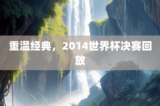 重温经典，2014世界杯决赛回放