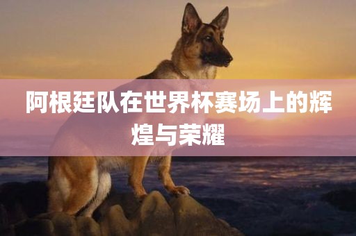 阿根廷队在世界杯赛场上的辉煌与荣耀