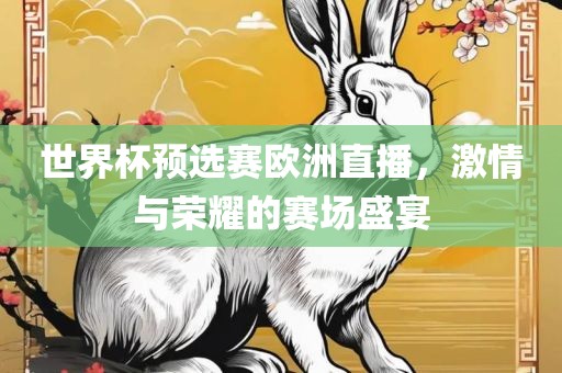 世界杯预选赛欧洲直播，激情与荣耀的赛场盛宴吉安市靖泰电力工程有限公司