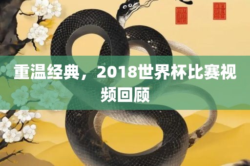重温经典，2018世界杯比赛视频回顾
