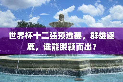 世界杯十二强预选赛，群雄逐鹿，谁能脱颖而出？
