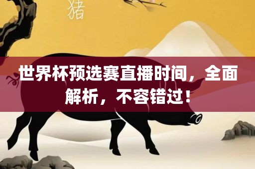 世吉安市靖泰电力工程有限公司界杯预选赛直播时间，全面解析，不容错过！