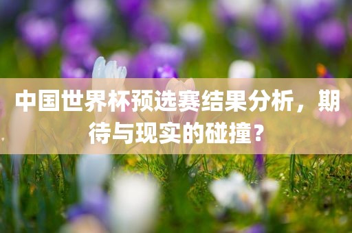 中国世界杯预选赛结果分析，期待与现实的碰撞？