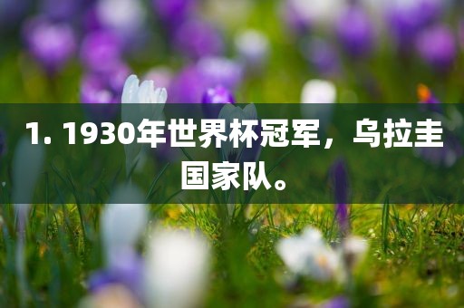 1. 1930年世界杯冠军，乌拉圭国家队。