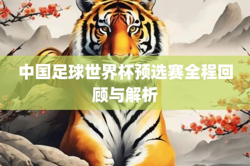 中国足球世界杯预选赛全程回顾与解析吉安市靖泰电力工程有限公司