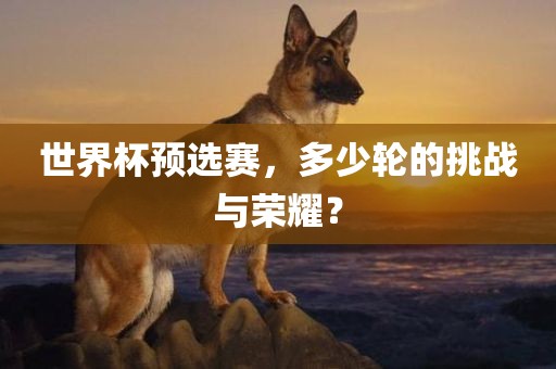 世界杯预选赛，多少轮的挑战与荣耀？吉安市靖泰电力工程有限公司