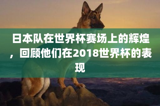 日本队在世界杯赛场上的辉煌，回顾他们在2018世界杯的表现