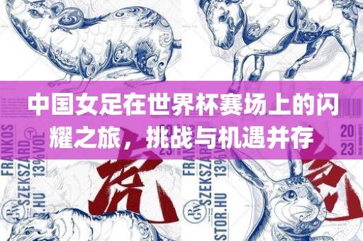 中国女足在世界杯赛场上的闪耀之旅，挑战与机遇并存