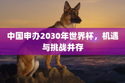 中国申办2030年世界杯，机遇与挑战并存