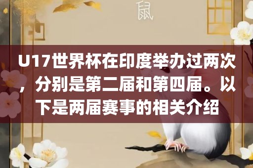 U17世界杯在印度举办过两次，分别是第二届和第四届。以下是两届赛事的相关介绍