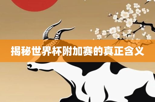 揭秘世界杯附加赛的真正含义
