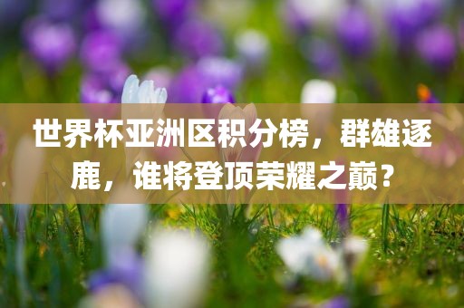世界杯亚洲区积分榜，群雄逐鹿，谁将登顶荣耀之巅？
