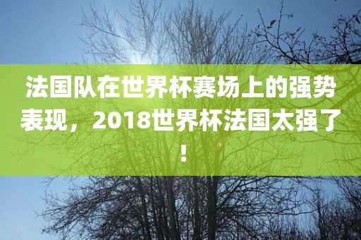 法国队在世界杯赛场上的强势表现，2018世界杯法国太强了！吉安市靖泰电力工程有限公司